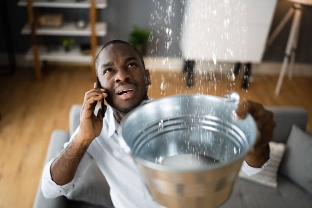 Best Water damage mitigation services  in Frazee, MN