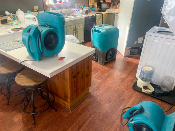 Best Mold removal after water damage  in Frazee, MN