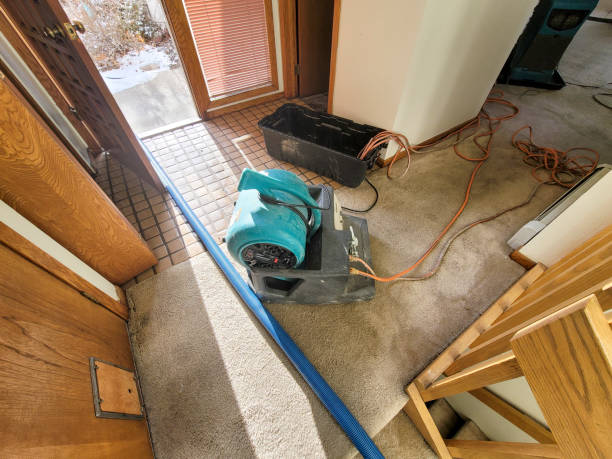 Best Commercial water damage restoration  in Frazee, MN