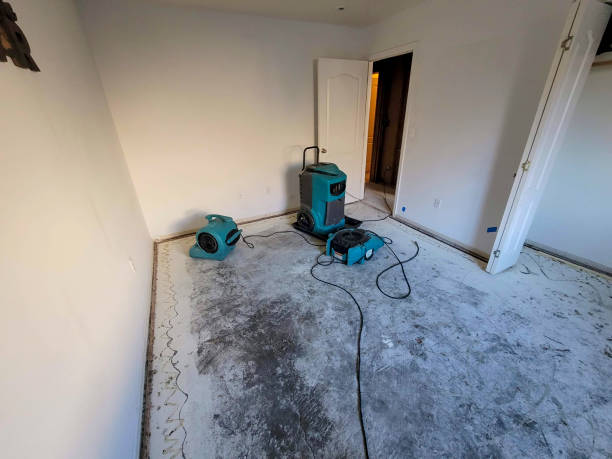 Best Water damage restoration process  in Frazee, MN