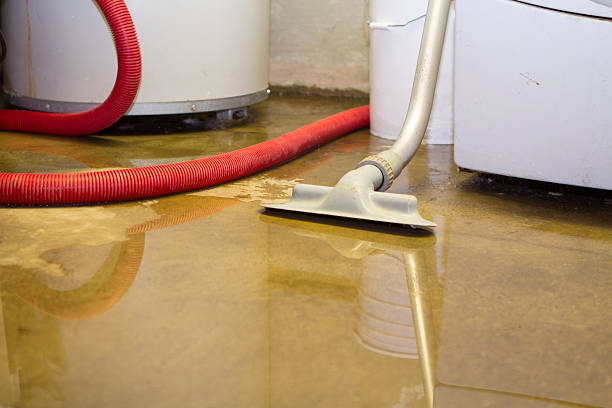 Best Emergency water damage restoration  in Frazee, MN