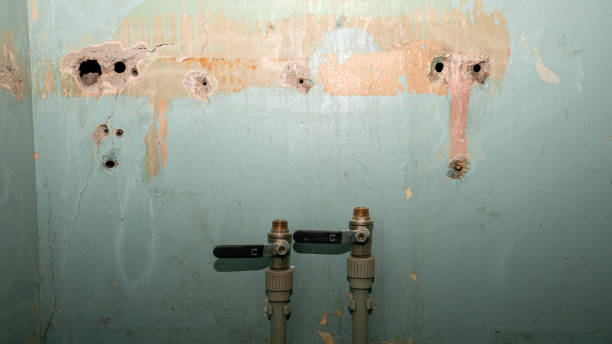 Best 24-hour water damage restoration  in Frazee, MN