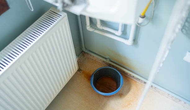 Best Commercial water damage restoration  in Frazee, MN