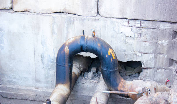 Best Water damage restoration near me  in Frazee, MN