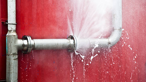 Best Professional water damage repair  in Frazee, MN