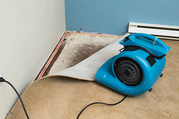Best 24/7 water damage repair  in Frazee, MN